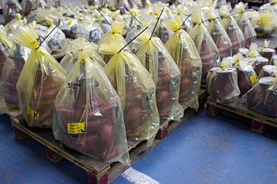 Продукция компании Gilbert Gilkes and Gordon Ltd.