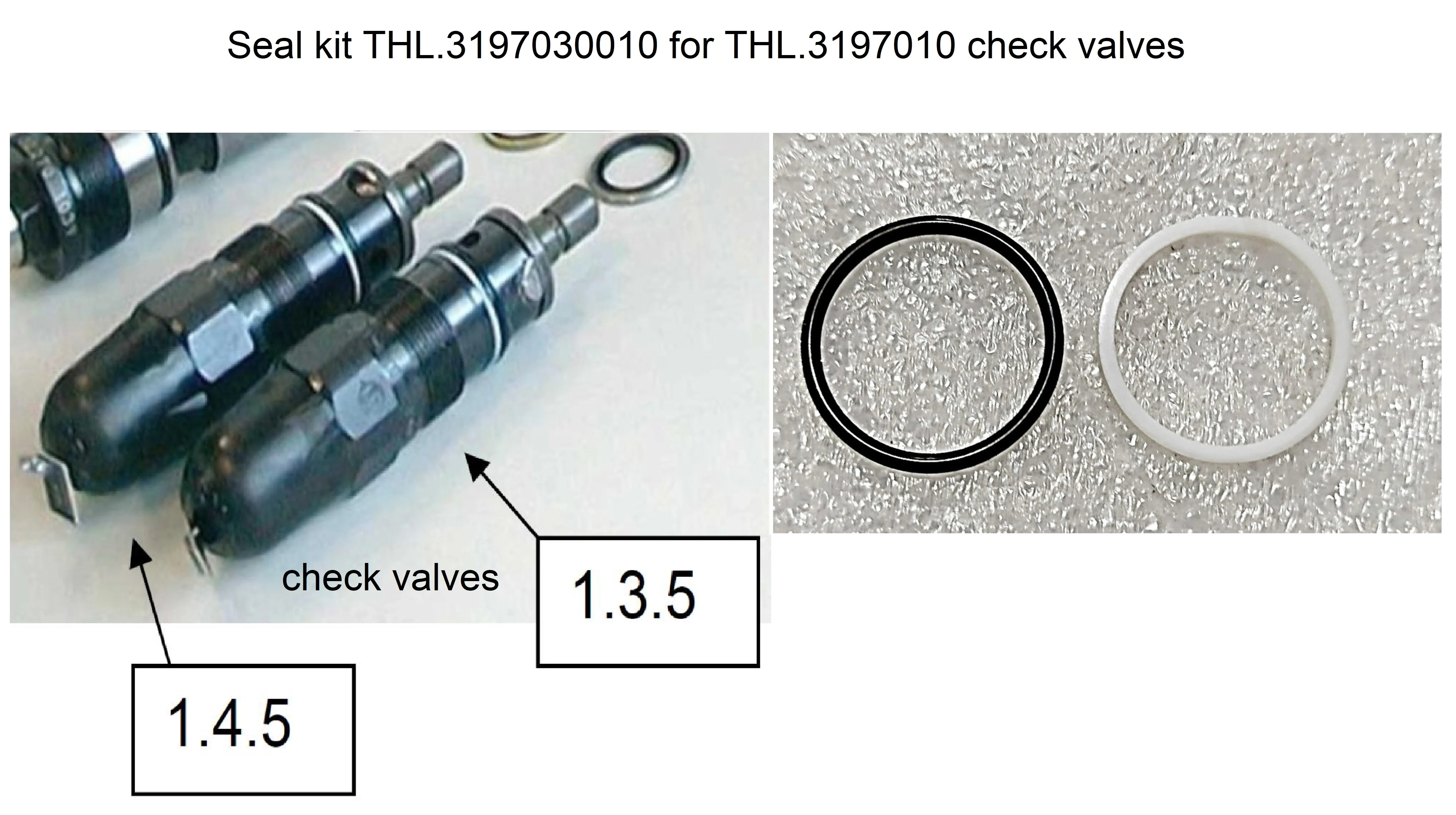 Комплект уплотнений для обратного клапана THL 3197030010